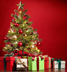 Christmas & New year